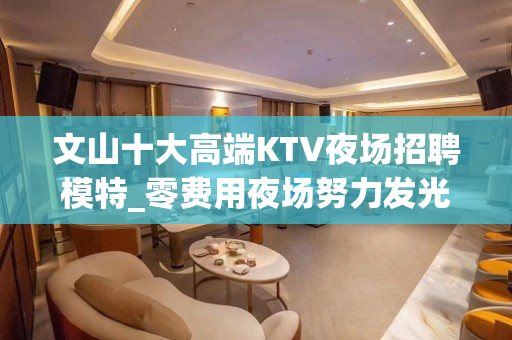文山十大高端KTV夜场招聘模特_零费用夜场努力发光认准领路人