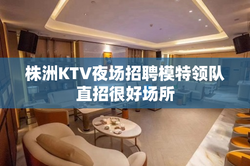 株洲KTV夜场招聘模特领队直招很好场所
