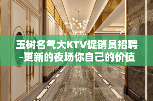 玉树名气大KTV促销员招聘-更新的夜场你自己的价值