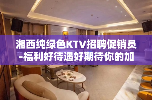 湘西纯绿色KTV招聘促销员-福利好待遇好期待你的加入