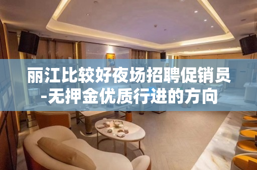 丽江比较好夜场招聘促销员-无押金优质行进的方向