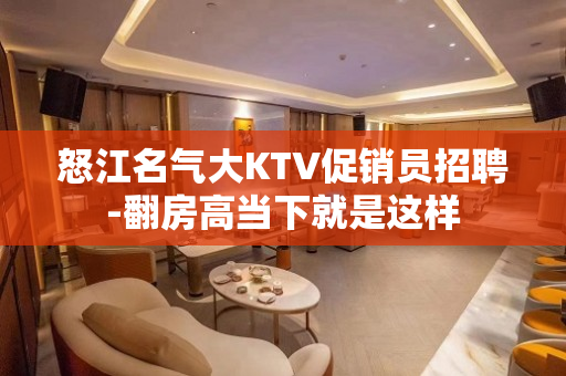 怒江名气大KTV促销员招聘-翻房高当下就是这样