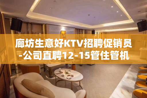 廊坊生意好KTV招聘促销员-公司直聘12-15管住管机票