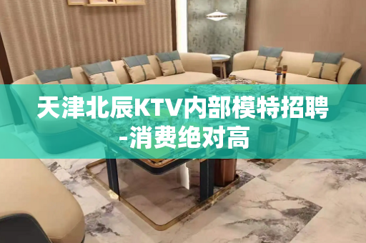 天津北辰KTV内部模特招聘-消费绝对高