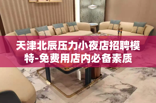 天津北辰压力小夜店招聘模特-免费用店内必备素质