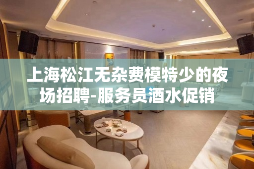 上海松江无杂费模特少的夜场招聘-服务员酒水促销