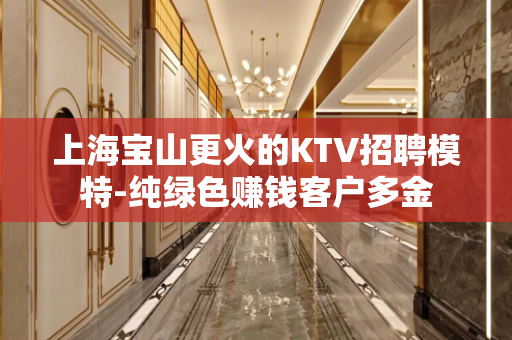 上海宝山更火的KTV招聘模特-纯绿色赚钱客户多金