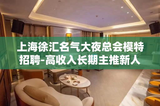 上海徐汇名气大夜总会模特招聘-高收入长期主推新人