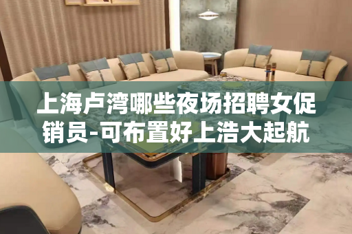 上海卢湾哪些夜场招聘女促销员-可布置好上浩大起航
