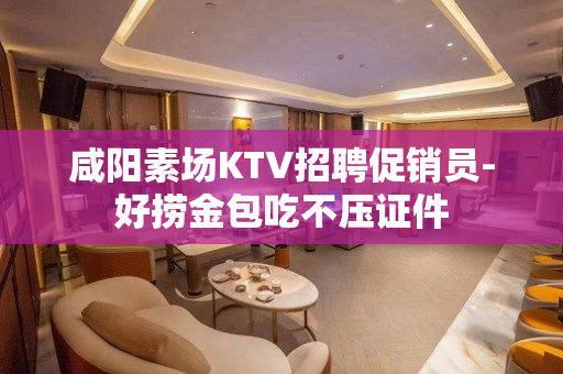 咸阳素场KTV招聘促销员-好捞金包吃不压证件