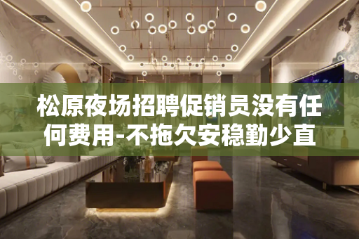 松原夜场招聘促销员没有任何费用-不拖欠安稳勤少直招