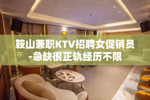 鞍山兼职KTV招聘女促销员-急缺很正轨经历不限