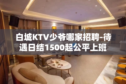 白城KTV少爷哪家招聘-待遇日结1500起公平上班