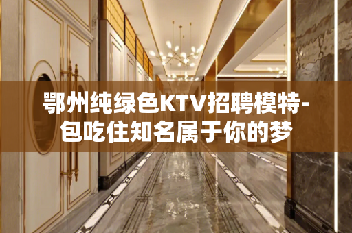 鄂州纯绿色KTV招聘模特-包吃住知名属于你的梦