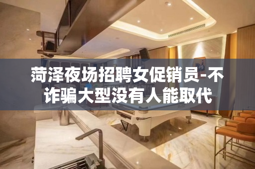 菏泽夜场招聘女促销员-不诈骗大型没有人能取代
