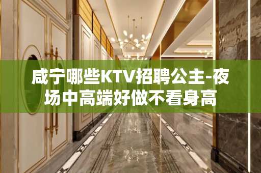 咸宁哪些KTV招聘公主-夜场中高端好做不看身高