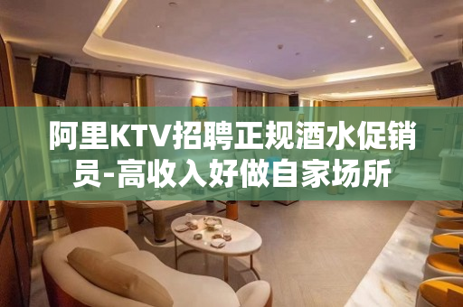 阿里KTV招聘正规酒水促销员-高收入好做自家场所