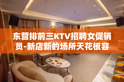 东营排前三KTV招聘女促销员-新店新的场所天花板容易成功