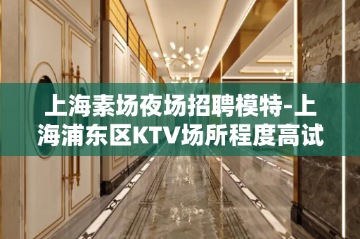 上海素场夜场招聘模特-上海浦东区KTV场所程度高试包公平