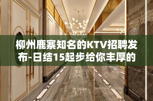 柳州鹿寨知名的KTV招聘发布-日结15起步给你丰厚的回报