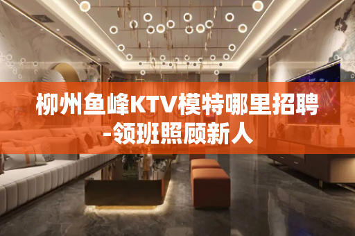 柳州鱼峰KTV模特哪里招聘-领班照顾新人