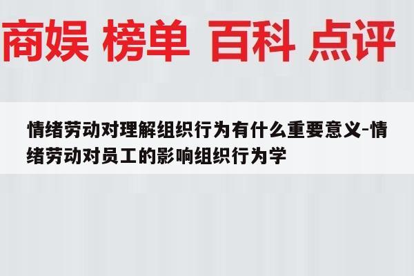情绪劳动对理解组织行为有什么重要意义-情绪劳动对员工的影响组织行为学