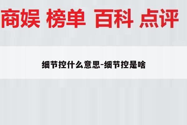 细节控什么意思-细节控是啥