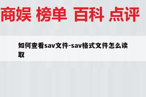 如何查看sav文件-sav格式文件怎么读取