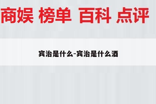 宾治是什么-宾治是什么酒