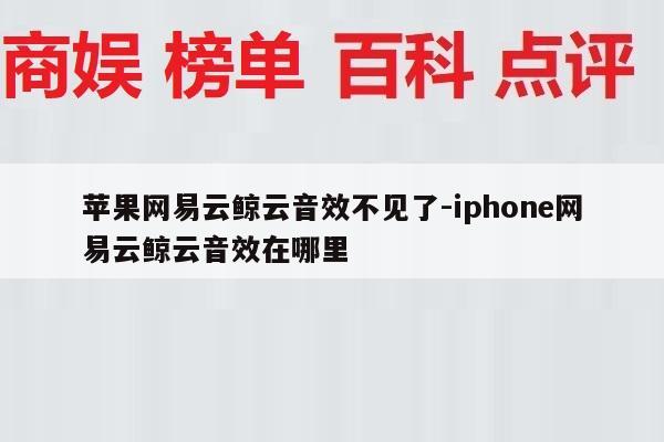 苹果网易云鲸云音效不见了-iphone网易云鲸云音效在哪里
