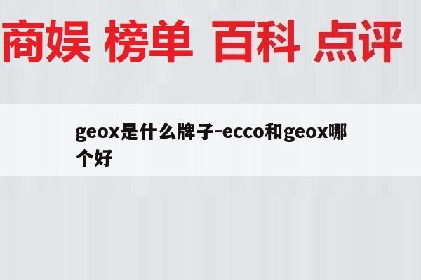 geox是什么牌子-ecco和geox哪个好