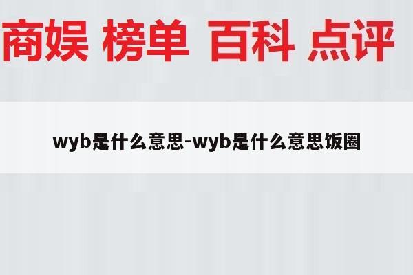 wyb是什么意思-wyb是什么意思饭圈