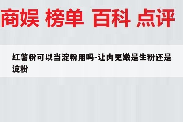 红薯粉可以当淀粉用吗-让肉更嫩是生粉还是淀粉