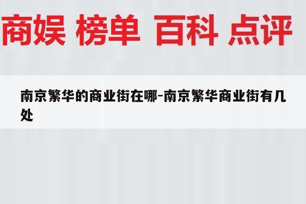 南京繁华的商业街在哪-南京繁华商业街有几处
