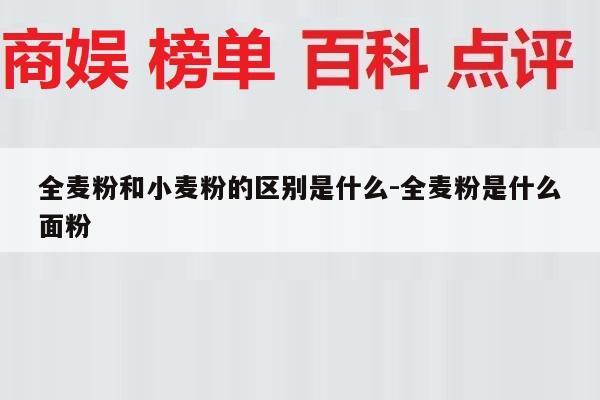 全麦粉和小麦粉的区别是什么-全麦粉是什么面粉