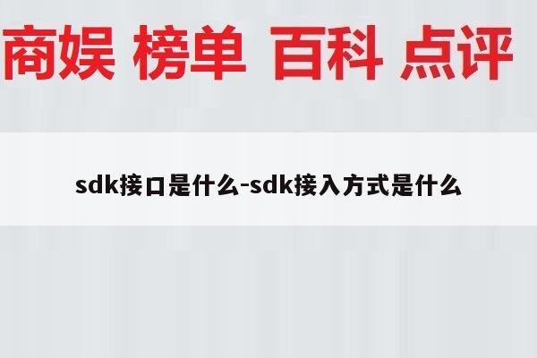sdk接口是什么-sdk接入方式是什么