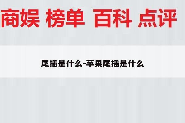 尾插是什么-苹果尾插是什么