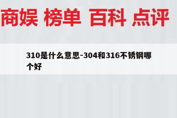 310是什么意思-304和316不锈钢哪个好