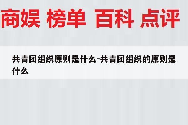 共青团组织原则是什么-共青团组织的原则是什么