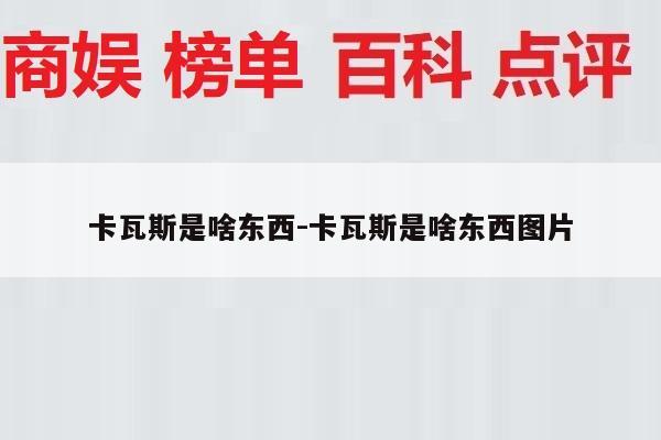 卡瓦斯是啥东西-卡瓦斯是啥东西图片