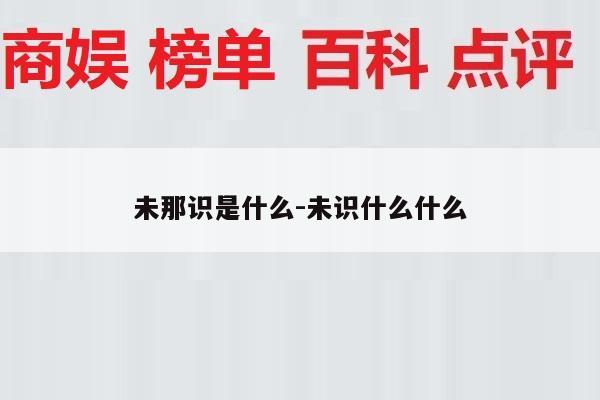 未那识是什么-未识什么什么