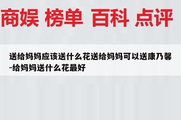 送给妈妈应该送什么花送给妈妈可以送康乃馨-给妈妈送什么花最好