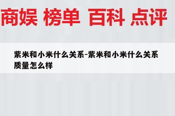 紫米和小米什么关系-紫米和小米什么关系 质量怎么样