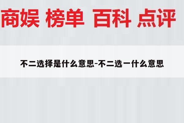 不二选择是什么意思-不二选一什么意思