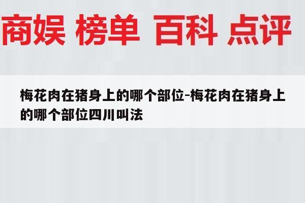 梅花肉在猪身上的哪个部位-梅花肉在猪身上的哪个部位四川叫法