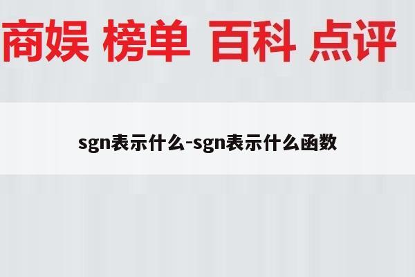 sgn表示什么-sgn表示什么函数